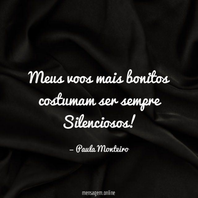 Meus voos mais bonitos costumam ser sempre Silenciosos