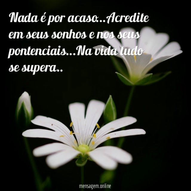 Nada é por acaso