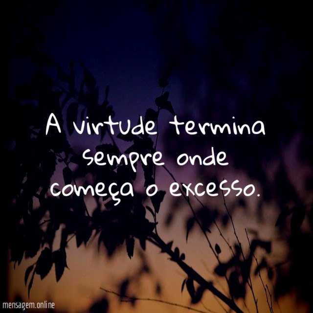A virtude termina sempre onde começa o excesso
