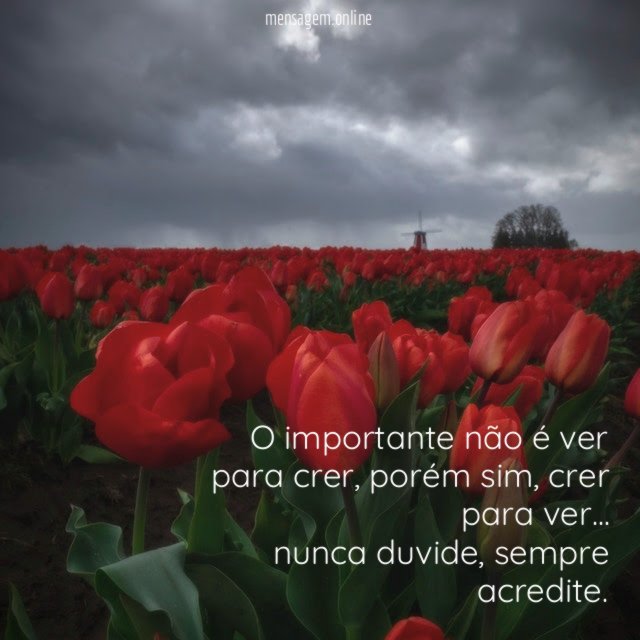 O importante não é ver para crer