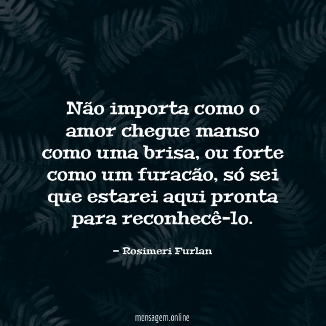 Não importa como o amor chegue manso como uma brisa