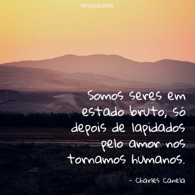 Somos seres em estado bruto