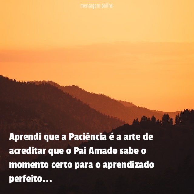Aprendi que a Paciência é a arte de