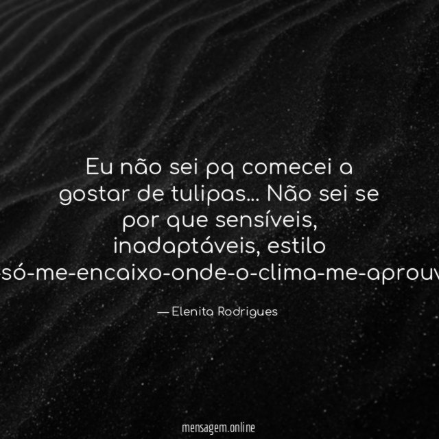 Eu não sei pq comecei a gostar de tulipas