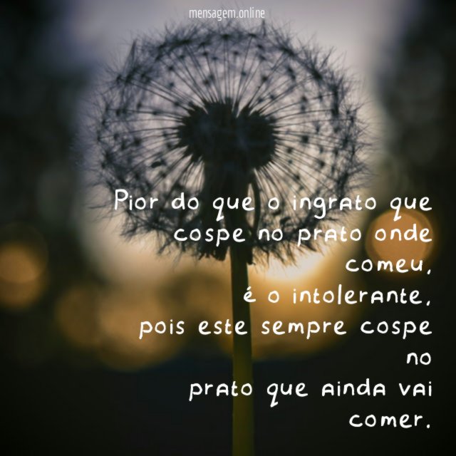 Pior do que o ingrato que cospe no prato onde comeu