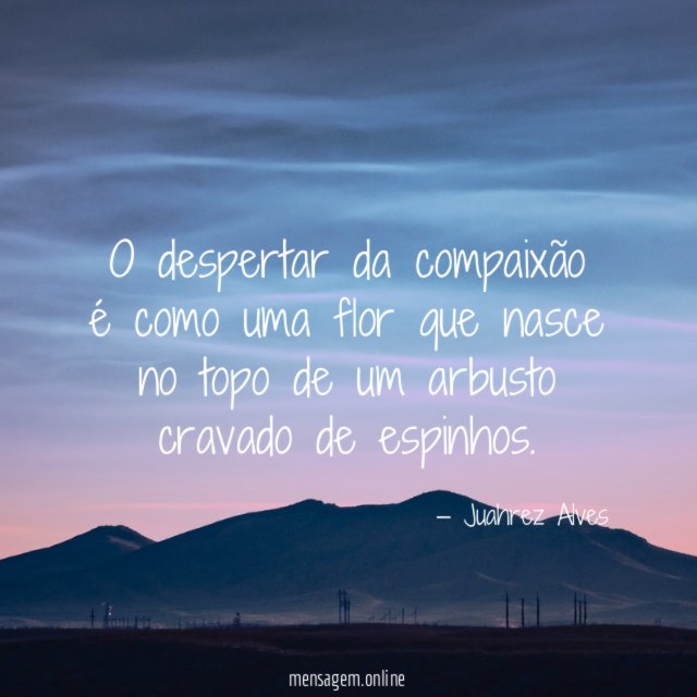 O despertar da compaixão é como uma flor