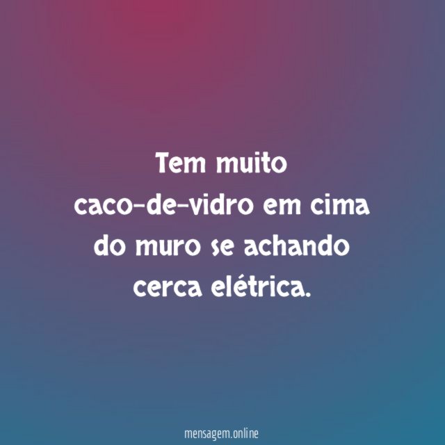 Tem muito caco-de-vidro em cima do muro se achando cerca elétrica