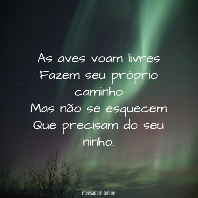As aves voam livres Fazem seu próprio caminho Mas não