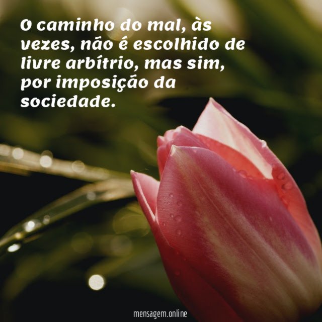 O caminho do mal