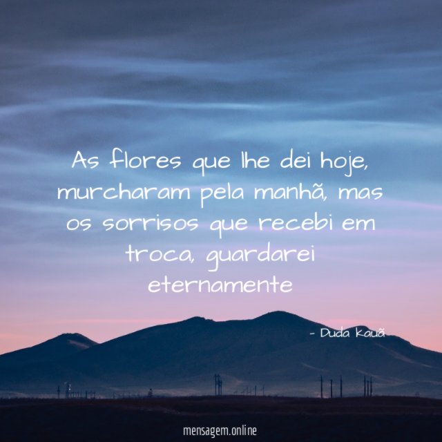 As flores que lhe dei hoje
