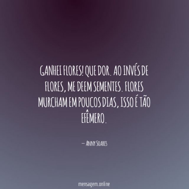 Ganhei flores
