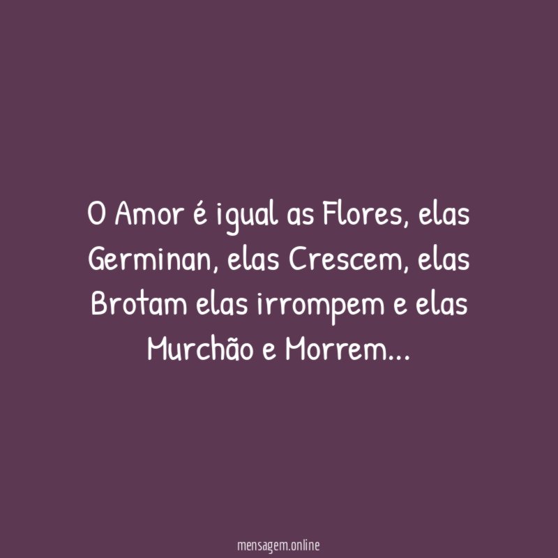 O Amor é igual as Flores