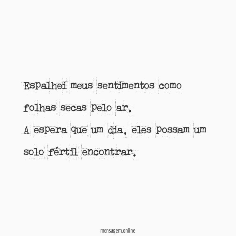 Espalhei meus sentimentos como folhas secas pelo ar