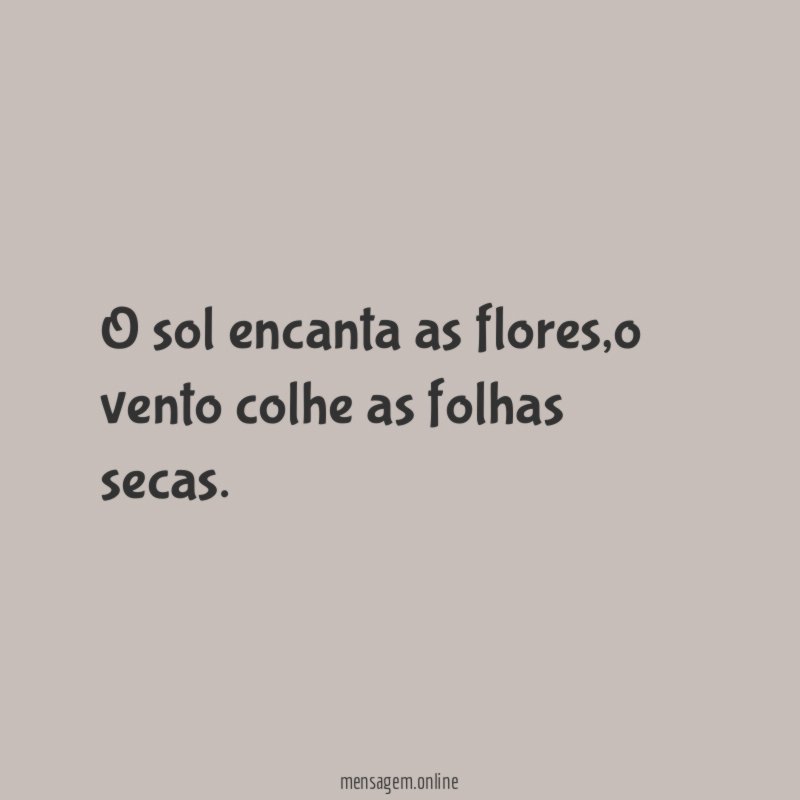 O sol encanta as flores