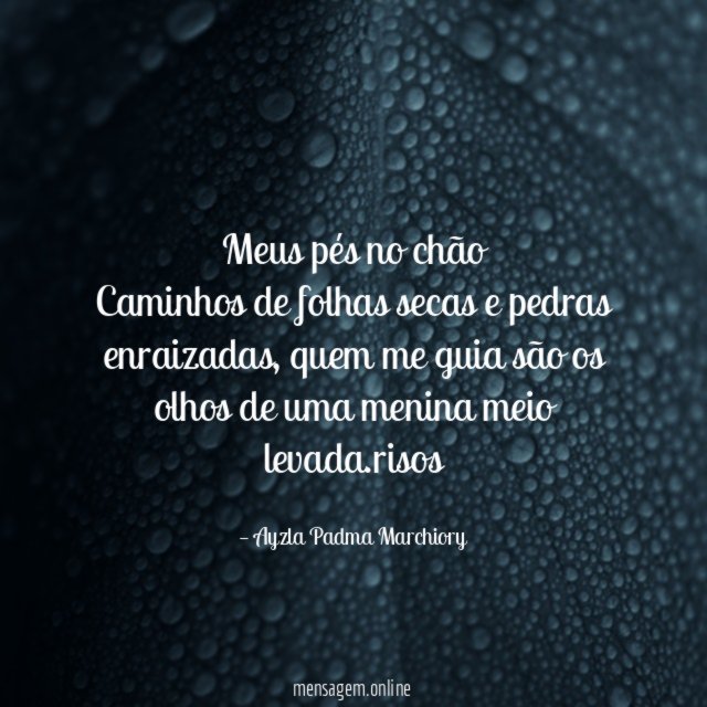 Meus pés no chão Caminhos de folhas secas