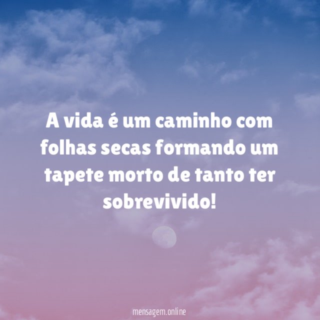 A vida é um caminho com folhas secas