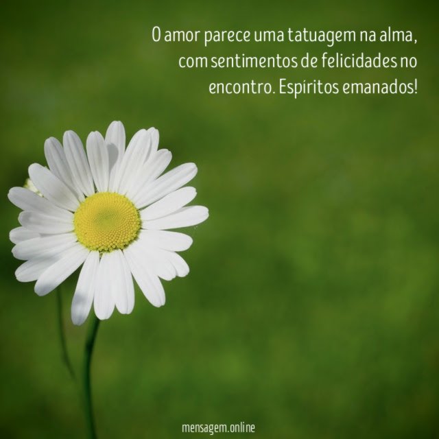 O amor parece uma tatuagem na alma