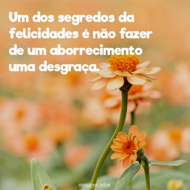 Um dos segredos da felicidades é não fazer