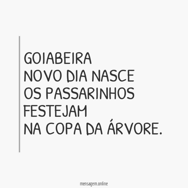 GOIABEIRA