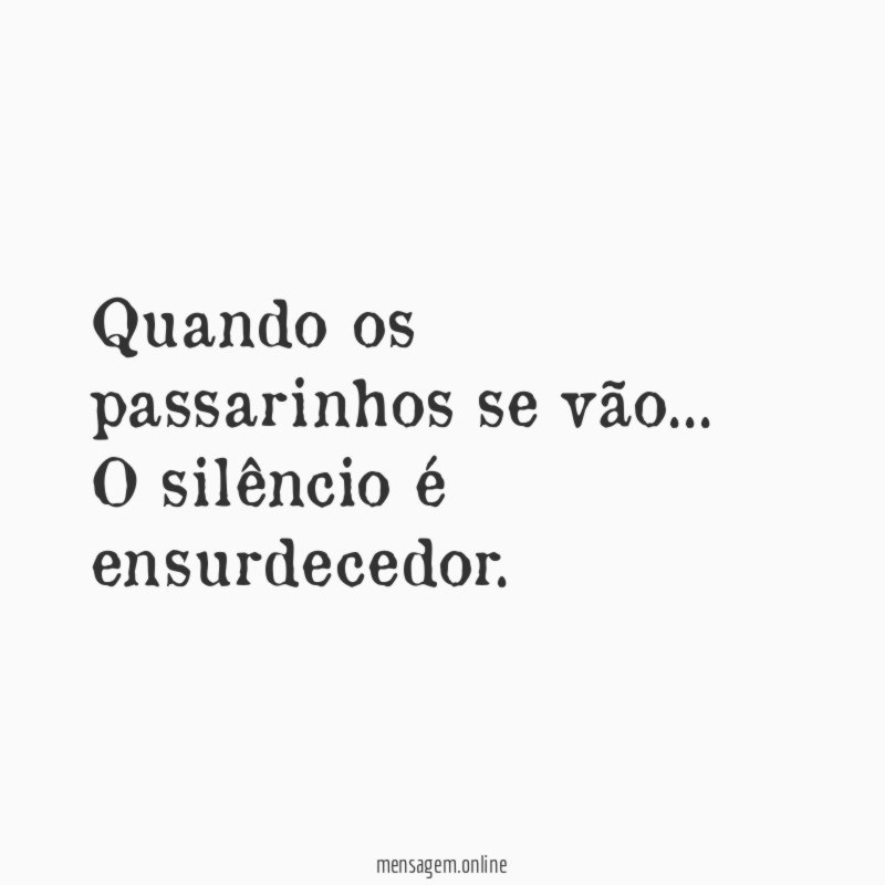 Quando os passarinhos se vão