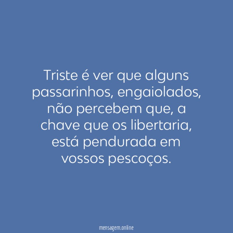 Triste é ver que alguns passarinhos