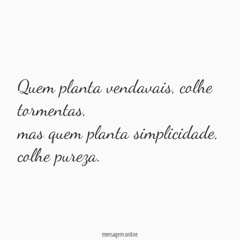 Quem planta vendavais