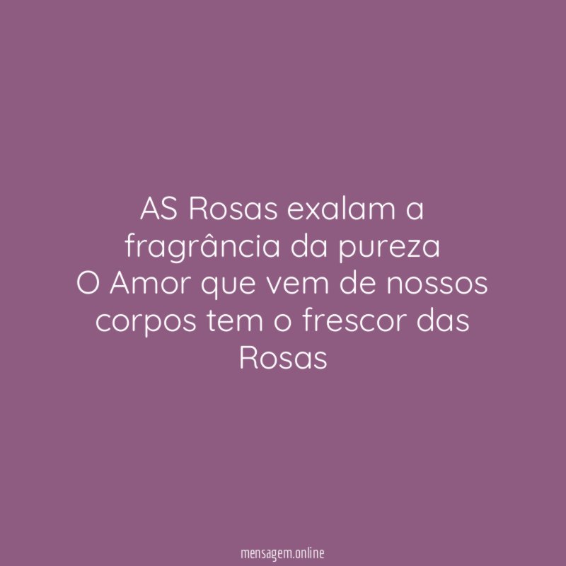 AS Rosas exalam a fragrância da pureza O Amor