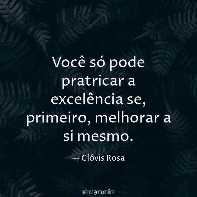 Você só pode pratricar a excelência se