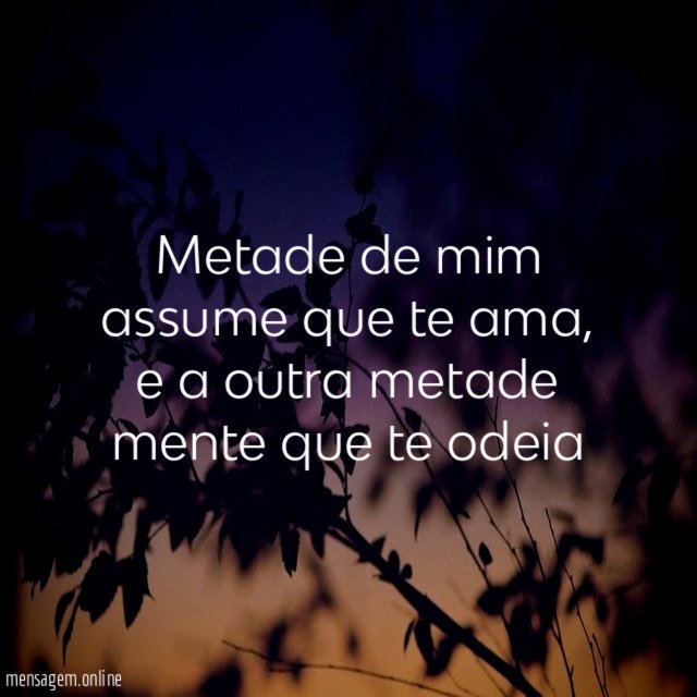Metade de mim assume que te ama