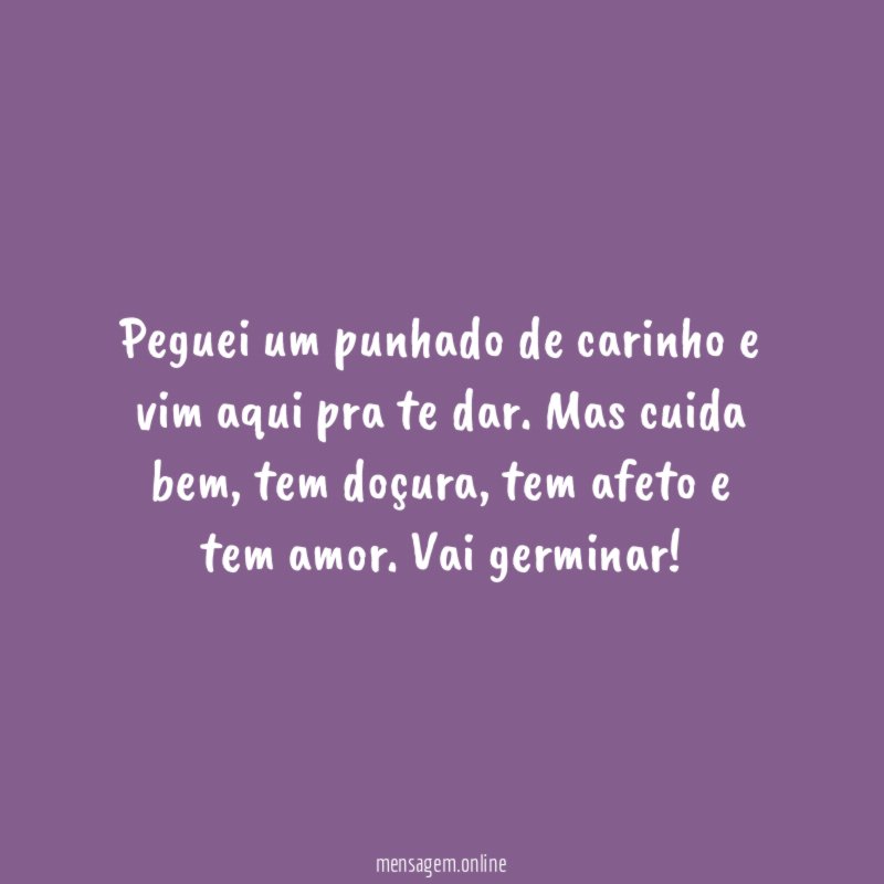 Peguei um punhado de carinho e vim aqui pra te dar