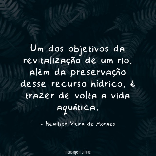 Um dos objetivos da revitalização de um rio