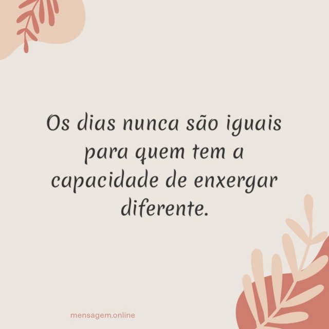 Os dias nunca são iguais para quem tem