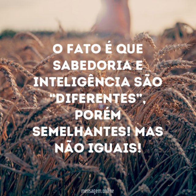 O fato é que sabedoria e inteligência são “diferentes”
