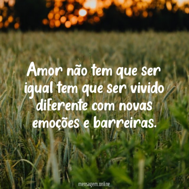 Amor não tem que ser igual tem que