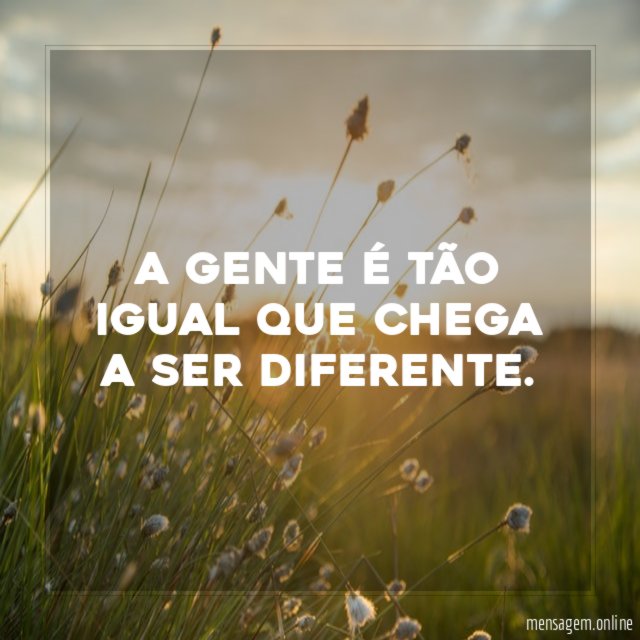 A gente é tão igual que chega a ser diferente