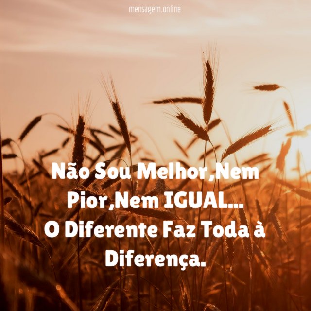Não Sou Melhor
