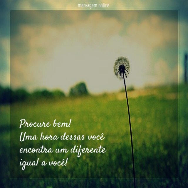 Procure bem