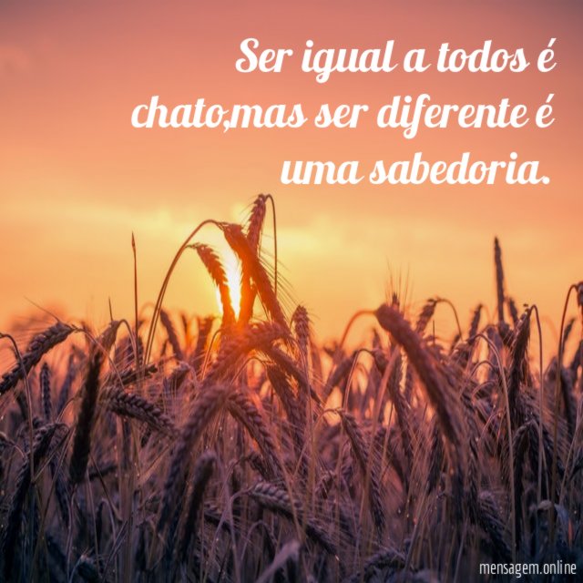 Ser igual a todos é chato