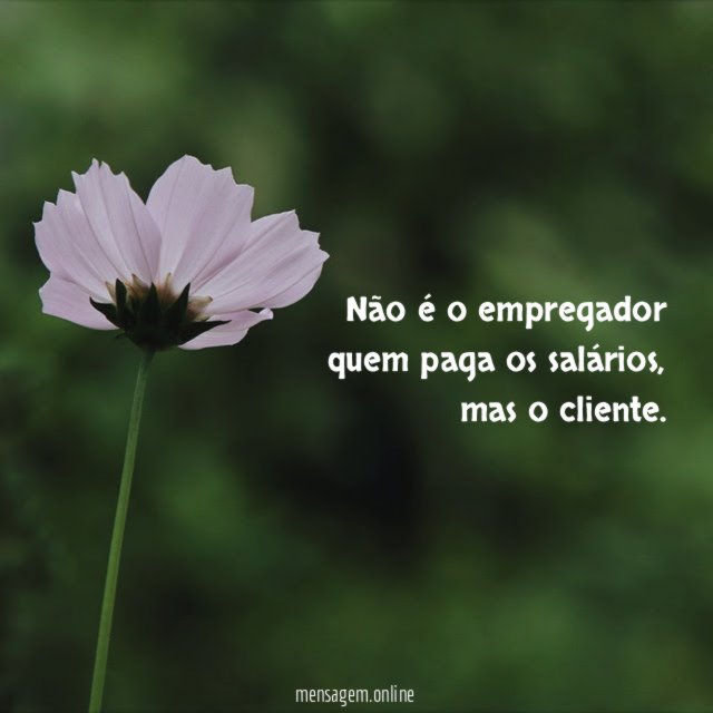 Não é o empregador quem paga os salários