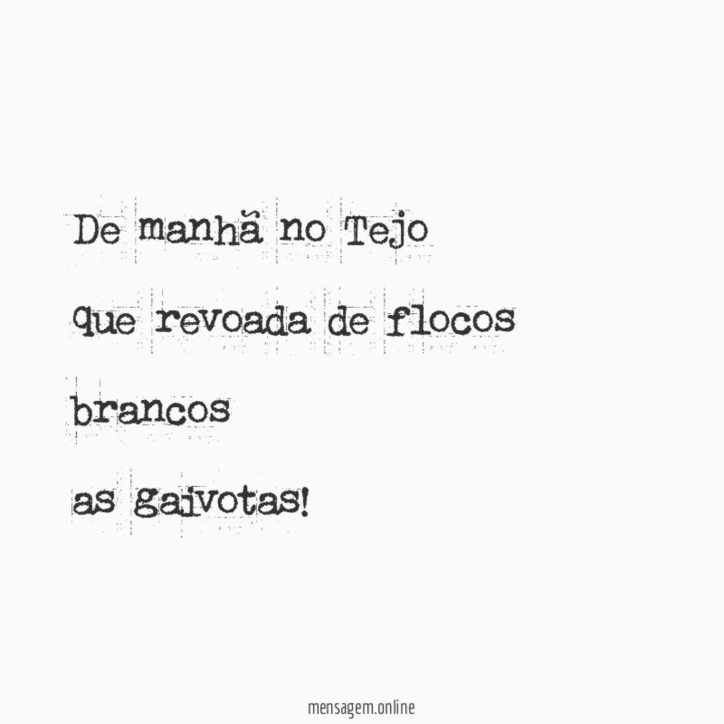 de manhã no Tejo que revoada de flocos brancos as gaivotas