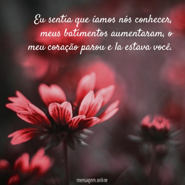 Eu sentia que íamos nós conhecer