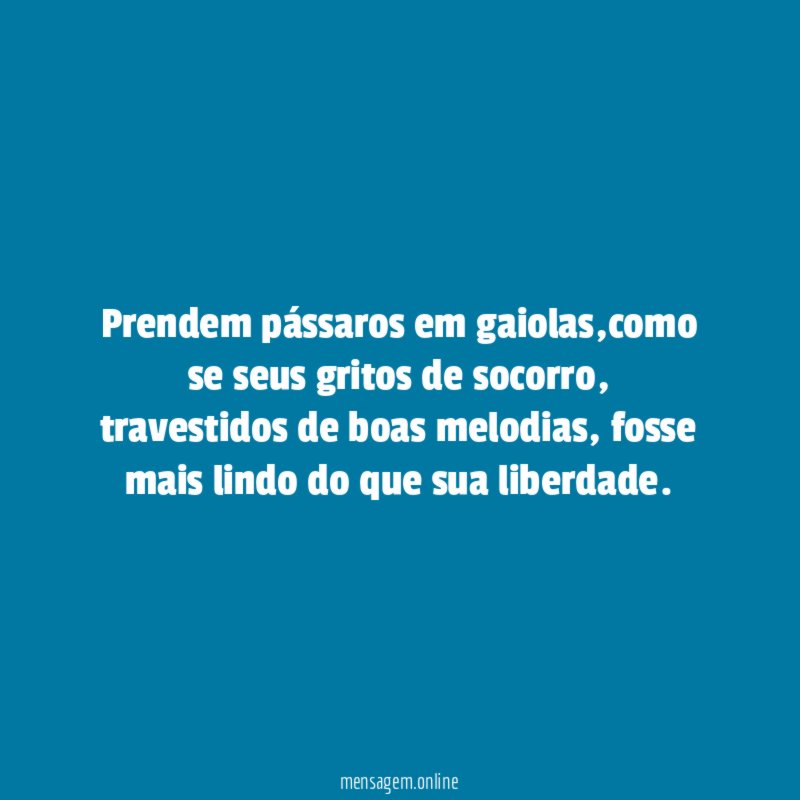 Prendem pássaros em gaiolas