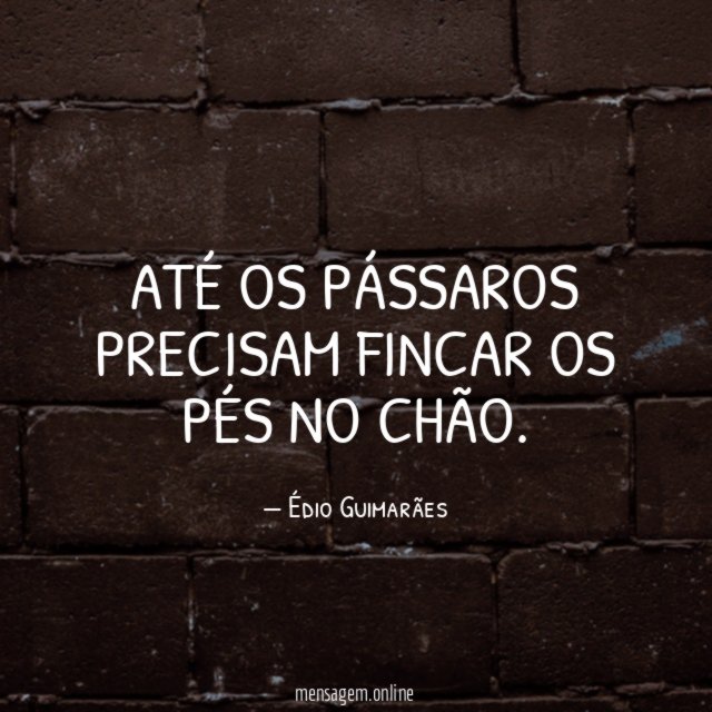 Até os pássaros precisam fincar os pés no chão