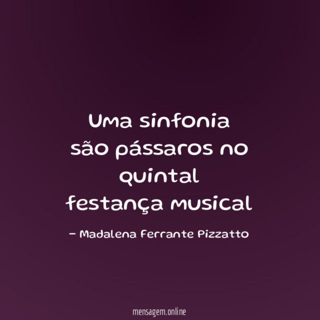 Uma sinfonia são pássaros no quintal festança musical