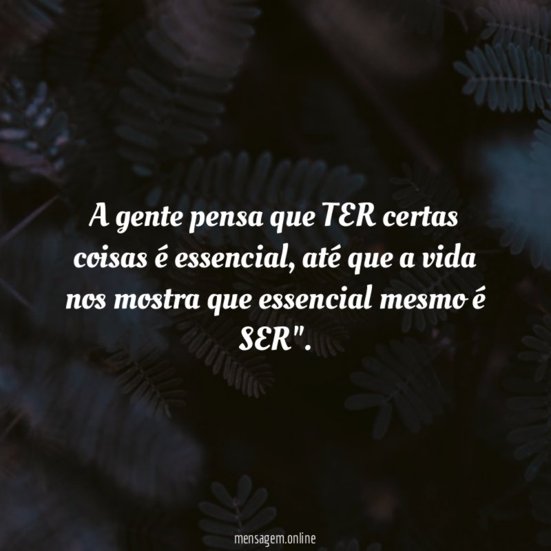 A gente pensa que TER certas coisas é essencial