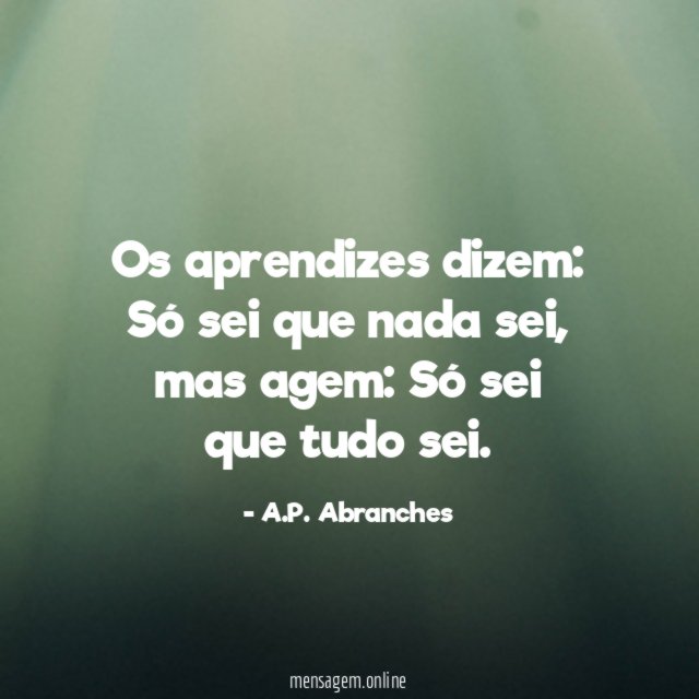 Os aprendizes dizem