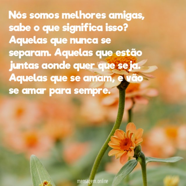Nós somos melhores amigas