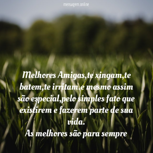 Melhores Amigas