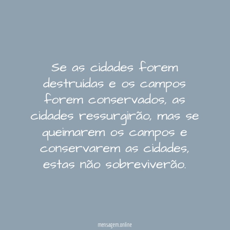 Cidade e campo