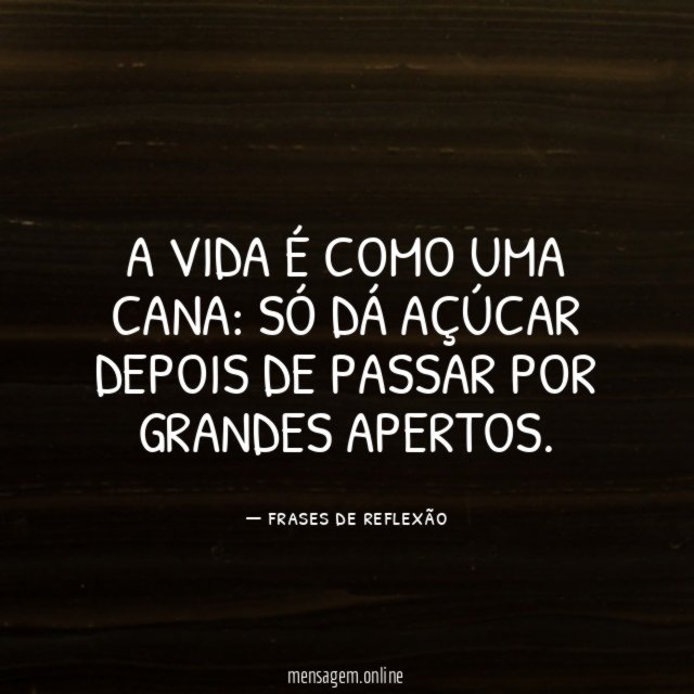 Cana de Açúcar